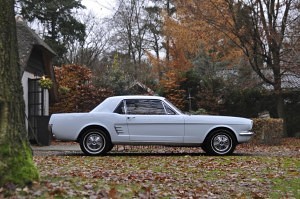 Ford Mustang Coupe 03