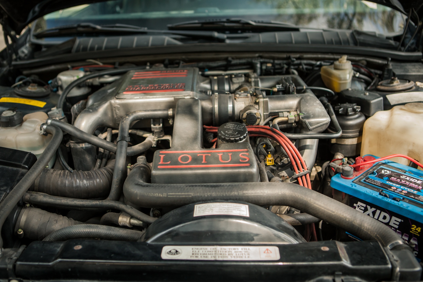 Opel Lotus Omega 03 - thecoolcars.nl